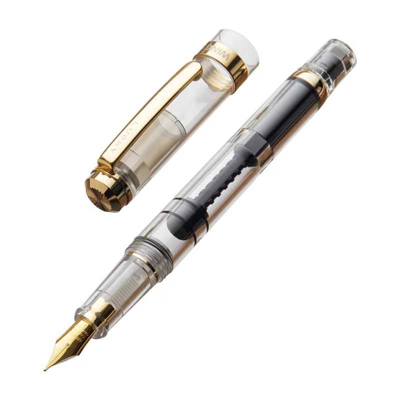 Wing Sung 698 fountain pen